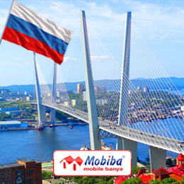 Дилеры компании Мобиба во Владивостоке