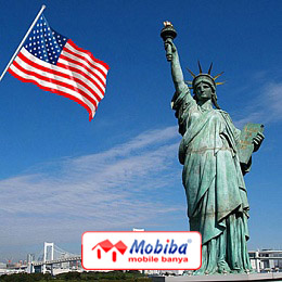 Дилеры компании Мобиба в США