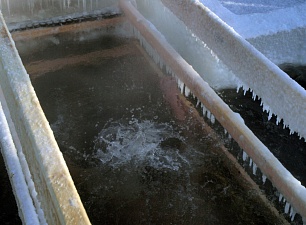 Закаленные сибиряки, кто купается в проруби каждый год, иногда подолгу сидели под водой.