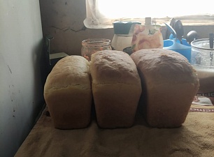 Хлеб, испеченный бойцами в хлебопечи блиндажной «Роснар» ХБ-10.